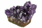 2-3" Dark Purple Amethyst Crystal Clusters - Uruguay - Photo 3
